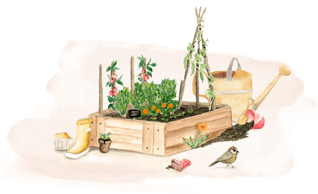 babies banner